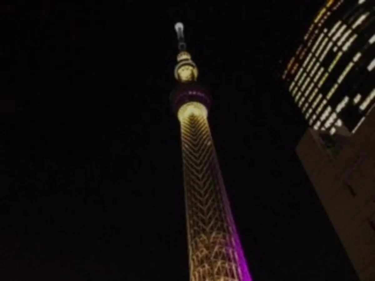Goodsite In Oshiage Apartment Tokyo 0*,  Japan