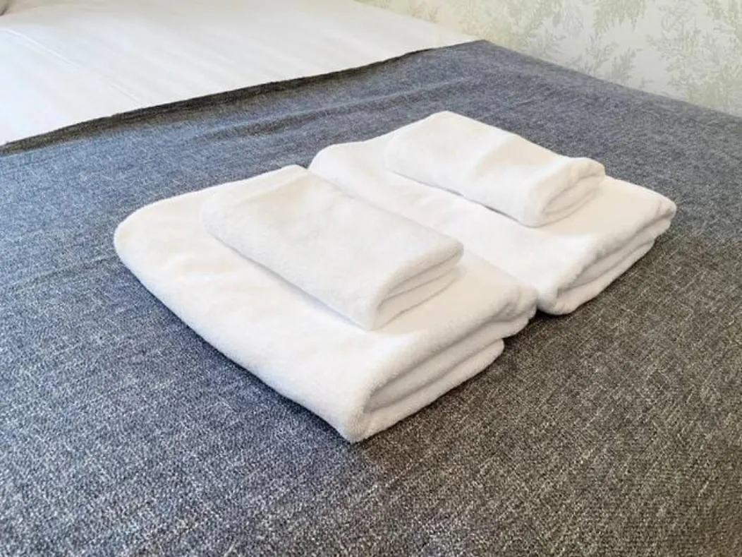 Goodsite In Oshiage Apartment Tokyo